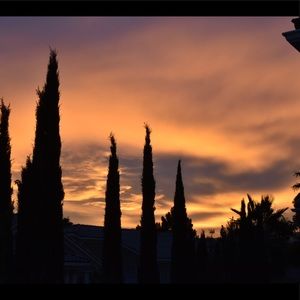 Meet your Posher, Spenser